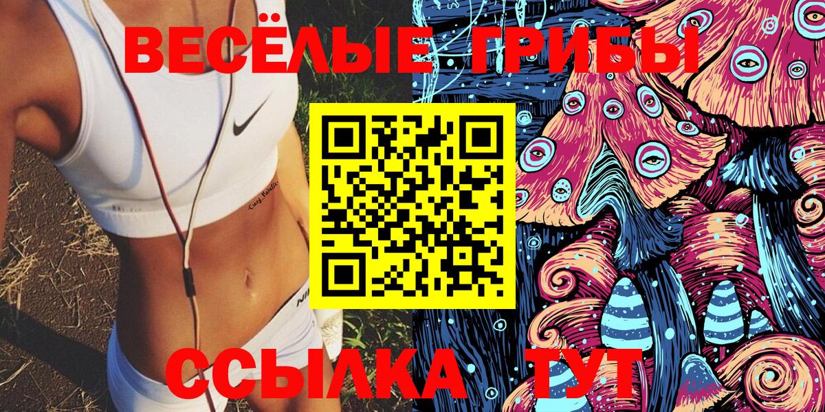 Галлюциногенные грибы Cubensis  Вход с VPN  Янаул 